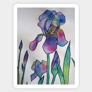 Purple Rainbow Iris Watercolor Painting Sticker